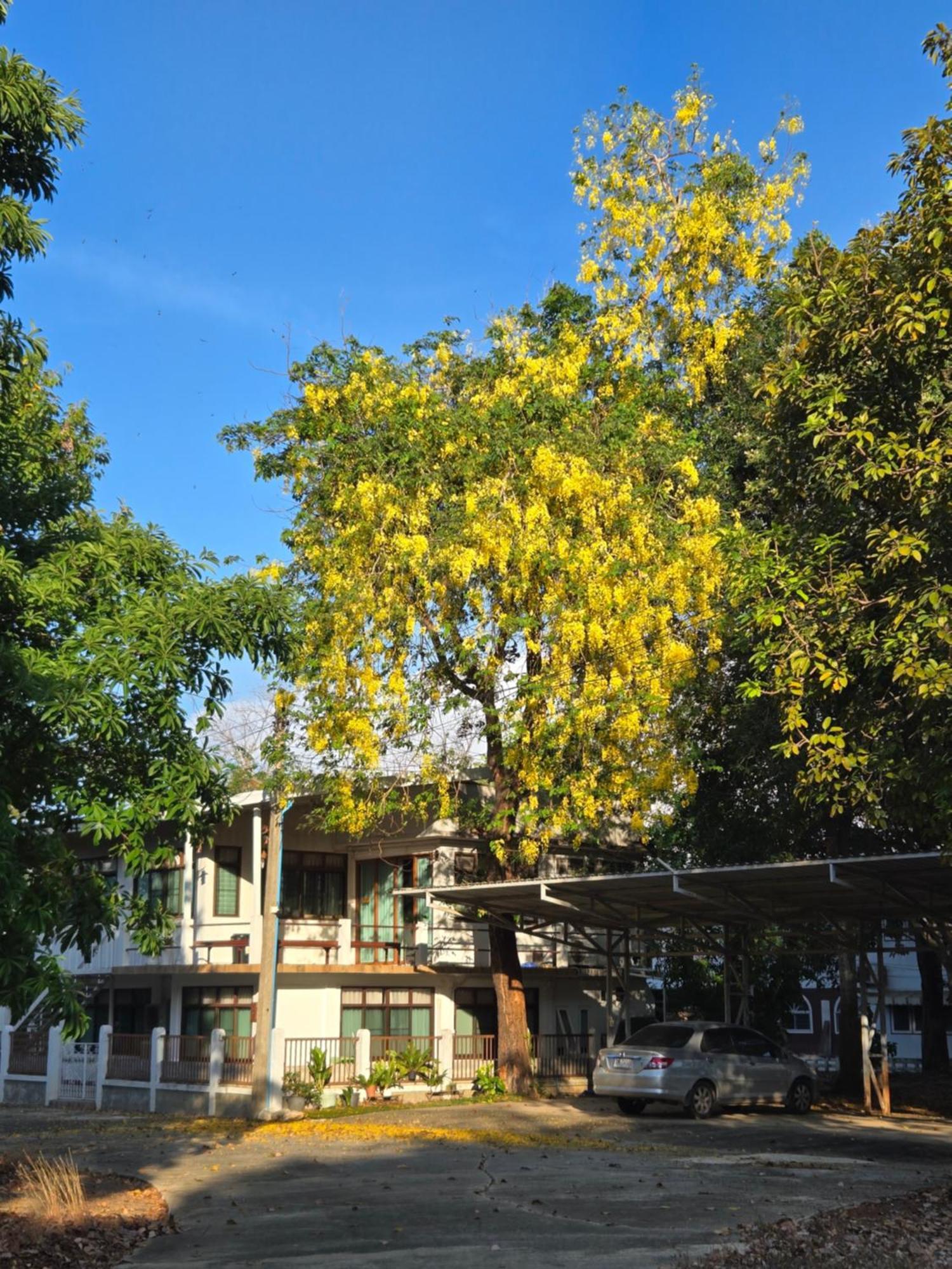Whales Come To The River - Riverside - 3 Rooms On 2Nd Floor Ban Bang Phli Nua Exterior photo